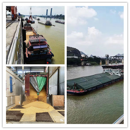 广西成人看片APP农牧集团