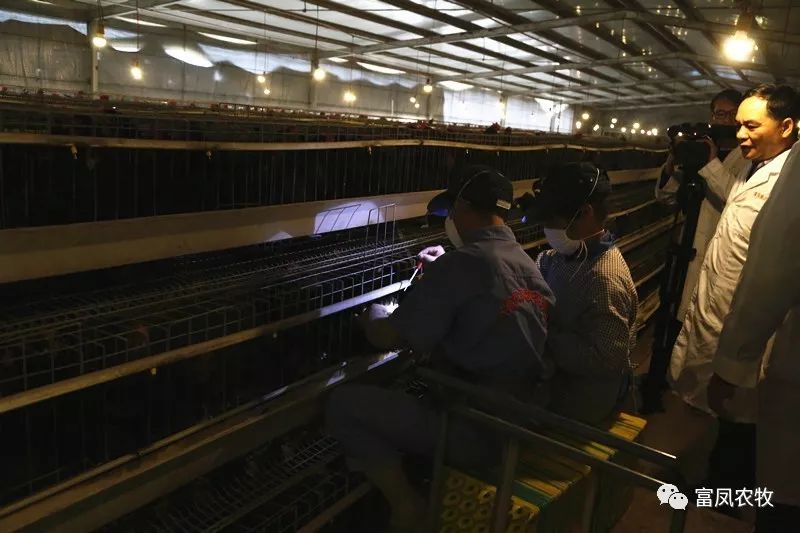 广西成人看片APP农牧集团