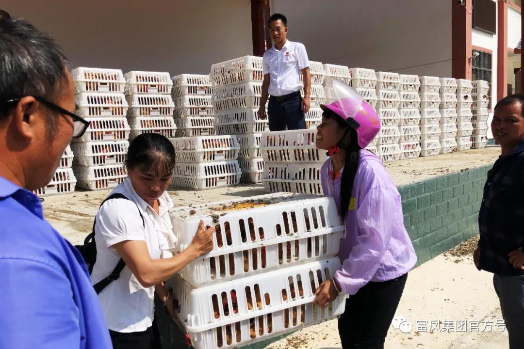 广西成人看片APP农牧集团