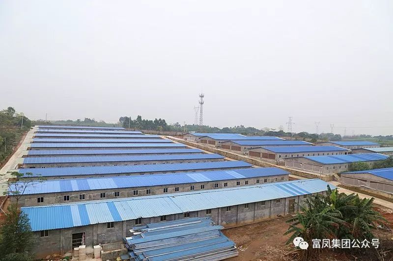 广西成人看片APP农牧集团