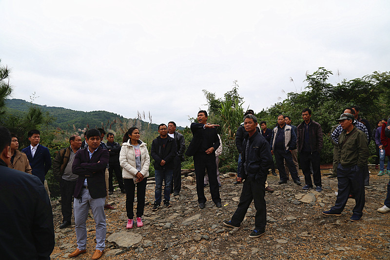 广西成人看片APP农牧集团