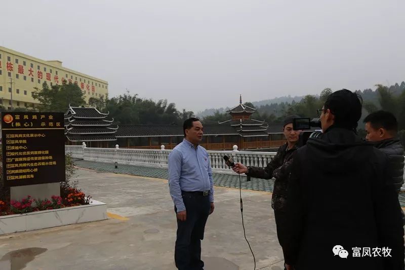 广西成人看片APP农牧集团