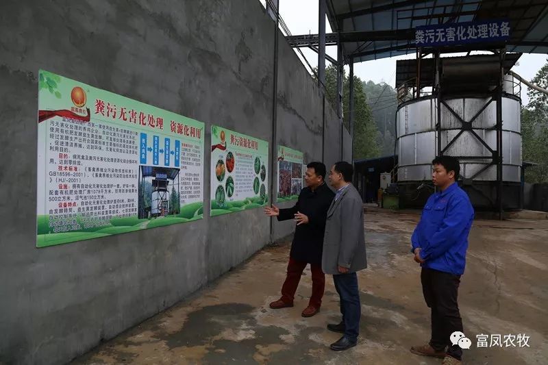 广西成人看片APP农牧集团