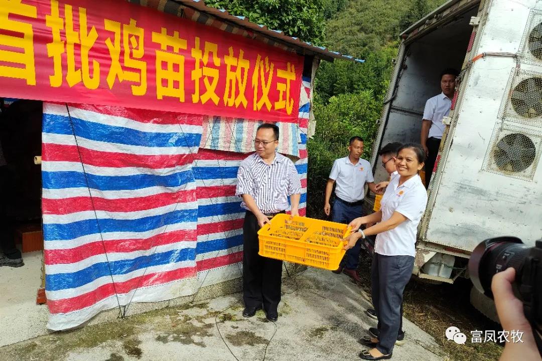 广西成人看片APP农牧集团