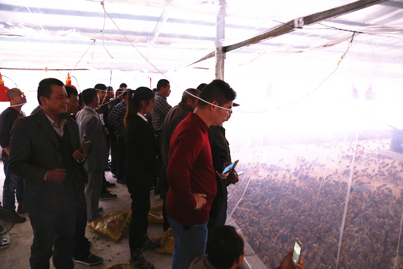 广西成人看片APP农牧集团