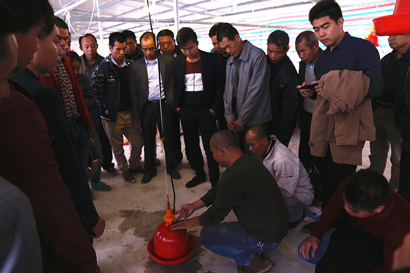 广西成人看片APP农牧集团