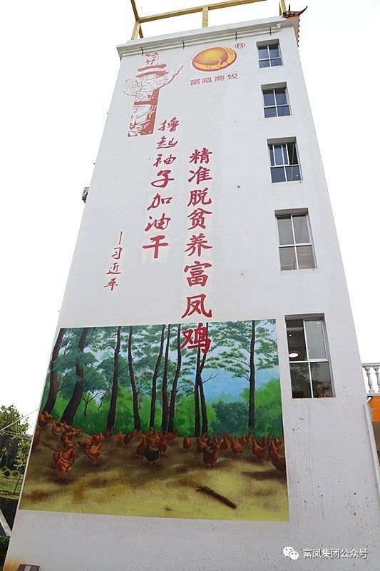 广西成人看片APP农牧集团