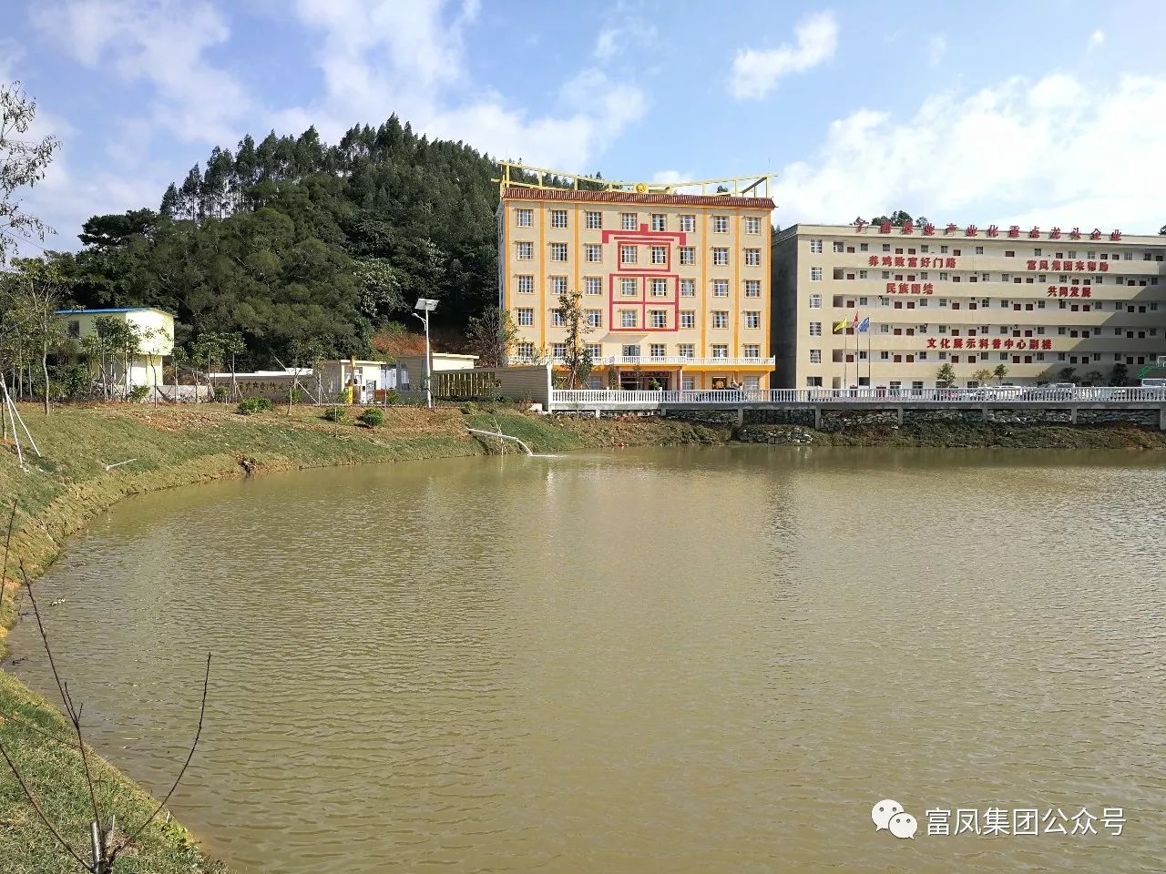 广西成人看片APP农牧集团