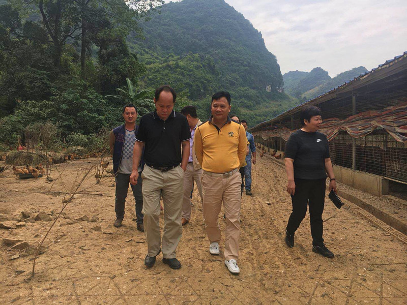 广西成人看片APP农牧集团