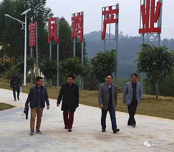 广西成人看片APP农牧集团