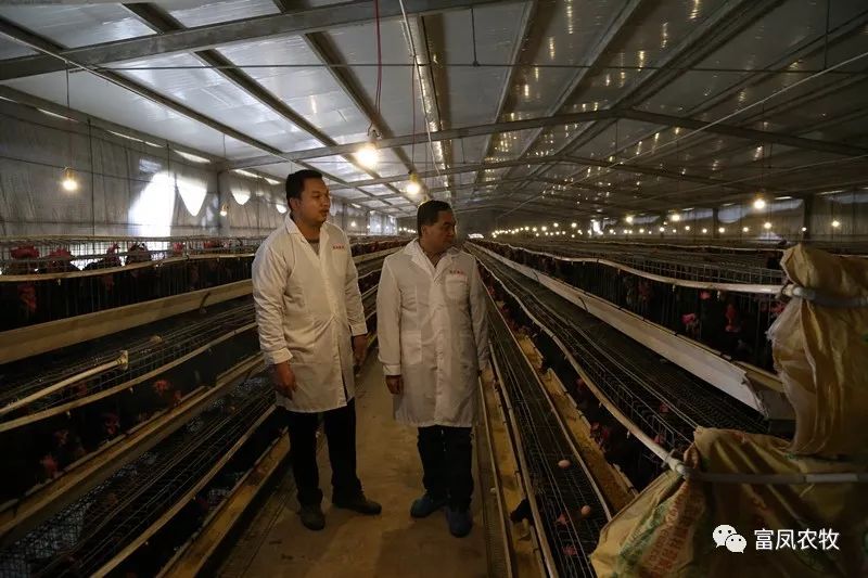 广西成人看片APP农牧集团